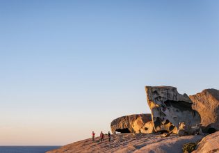 Kangaroo wildernesshero