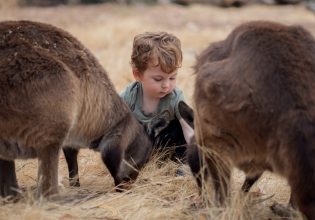 A guide to visiting Kangaroo Island Wildlife Park