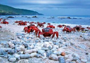 Exploring Christmas Island – a photographic journey