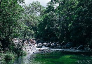 The best (& safest) Port Douglas beaches & swimming spots