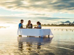 Oyster shucking Coles Bay-style.