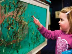 Seahorse World_Rob Burnett (5)