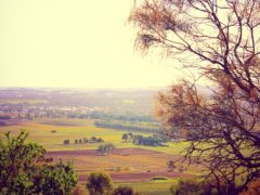 Barossa's vintage town, Tanunda.