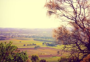 Barossa's vintage town, Tanunda.