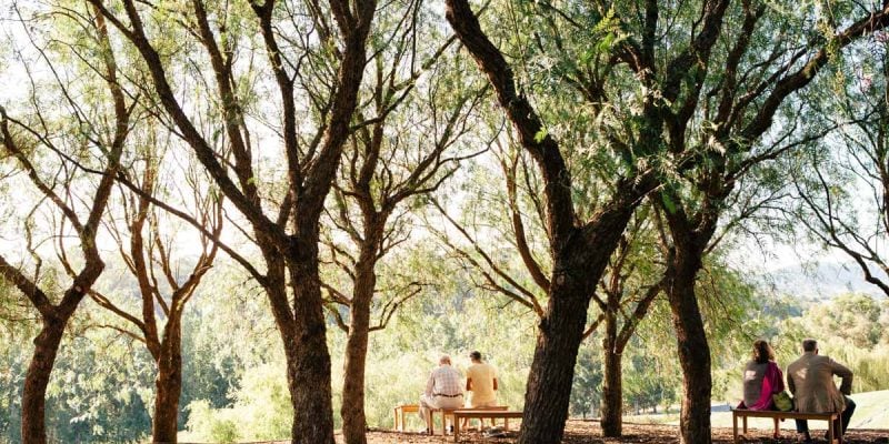 TarraWarra Estate in the Yarra Valley