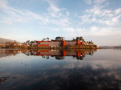 Mona, Tasmania