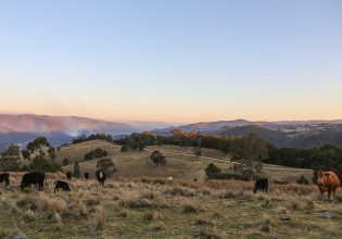 Great Dividing Range, Tenterfield