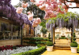 Topiary Cafe, Tea Tree Gully 2 high-res