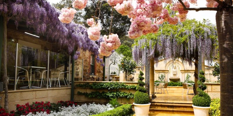 Topiary Cafe, Tea Tree Gully 2 high-res