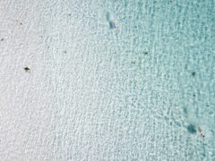 Photography: Dillon Seitchik-Reardon