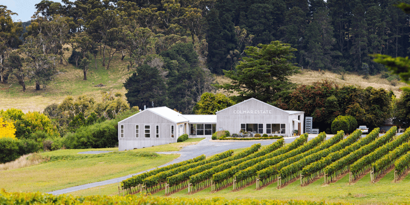 Best Orange wineries to visit